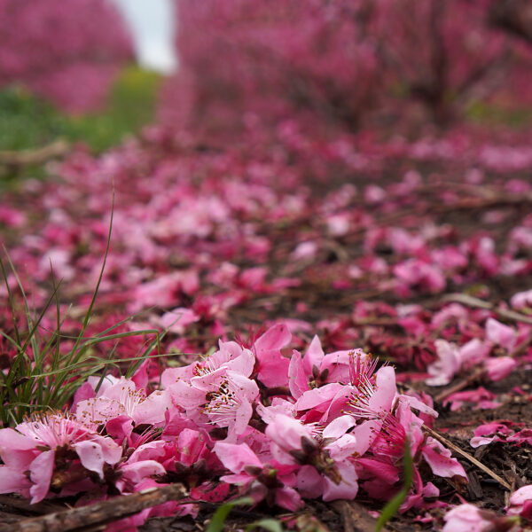 סדנת צילום טבע ונוף "יוצאים לטבע"
