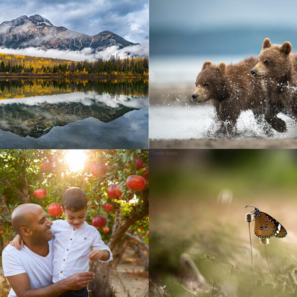 קורס צילום למתקדמים בוקר