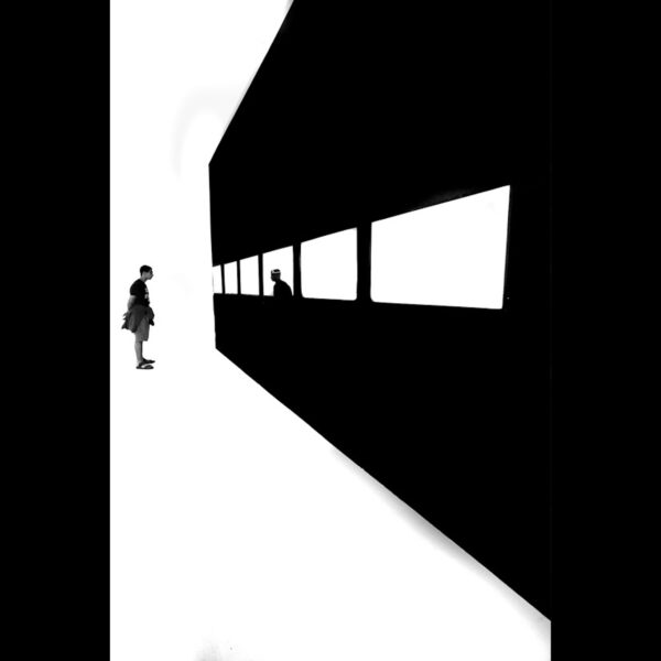 קורס כן, לא, שחור, לבן