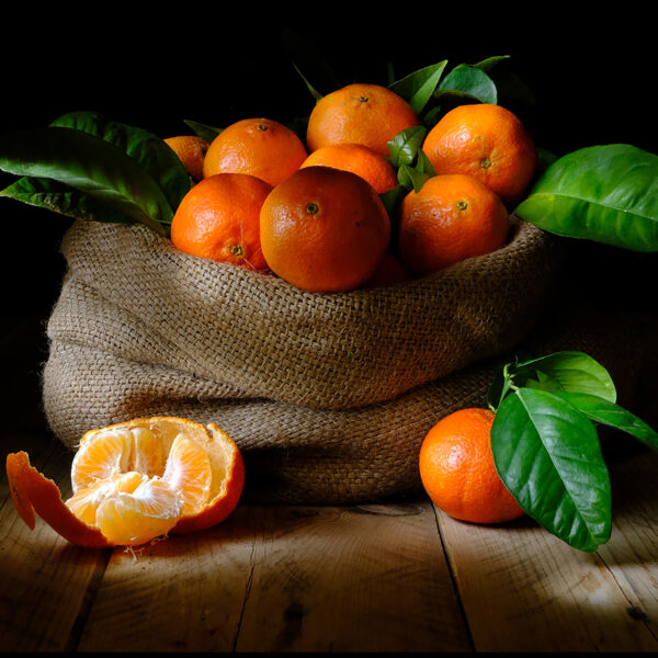 סדנת צילום מברשת אור