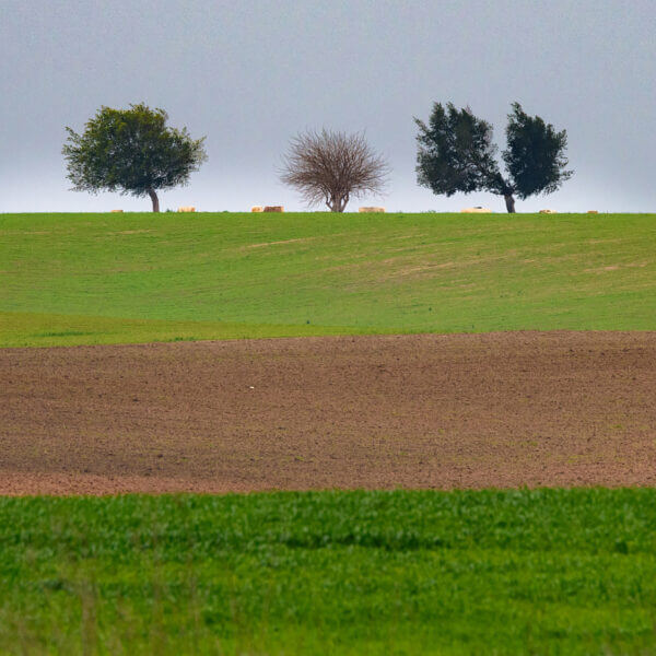 סדנת צילום נוף בעדשת טלה