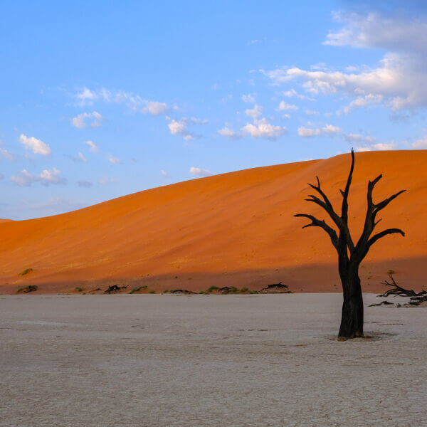 מסע צילום לנמיביה