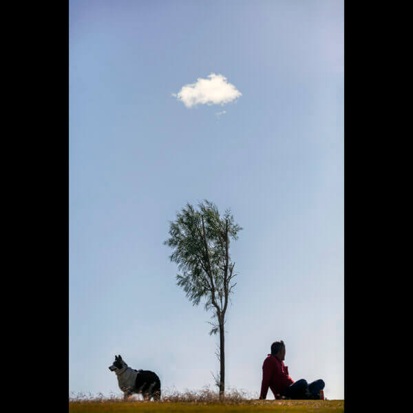 קורס נגיעות בפוטותרפיה