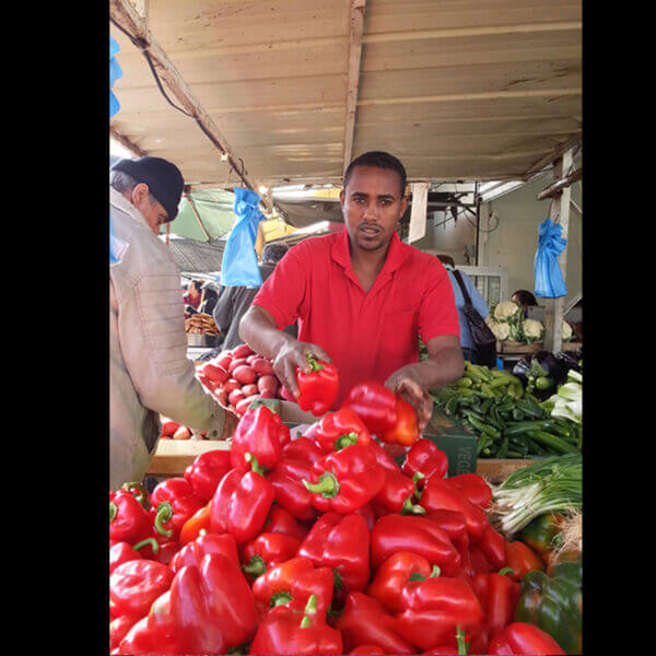 סדנת צילום סמטאות שוק רמלה