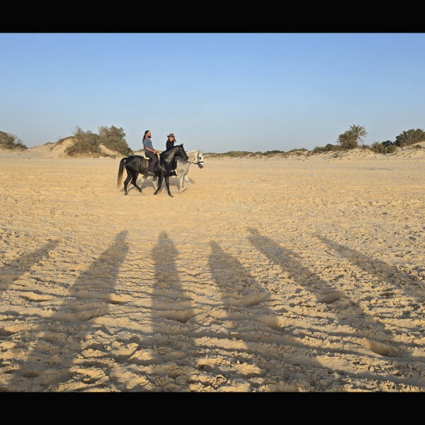 מפגש מס' 11 -  מחול סוסים 12.05.26