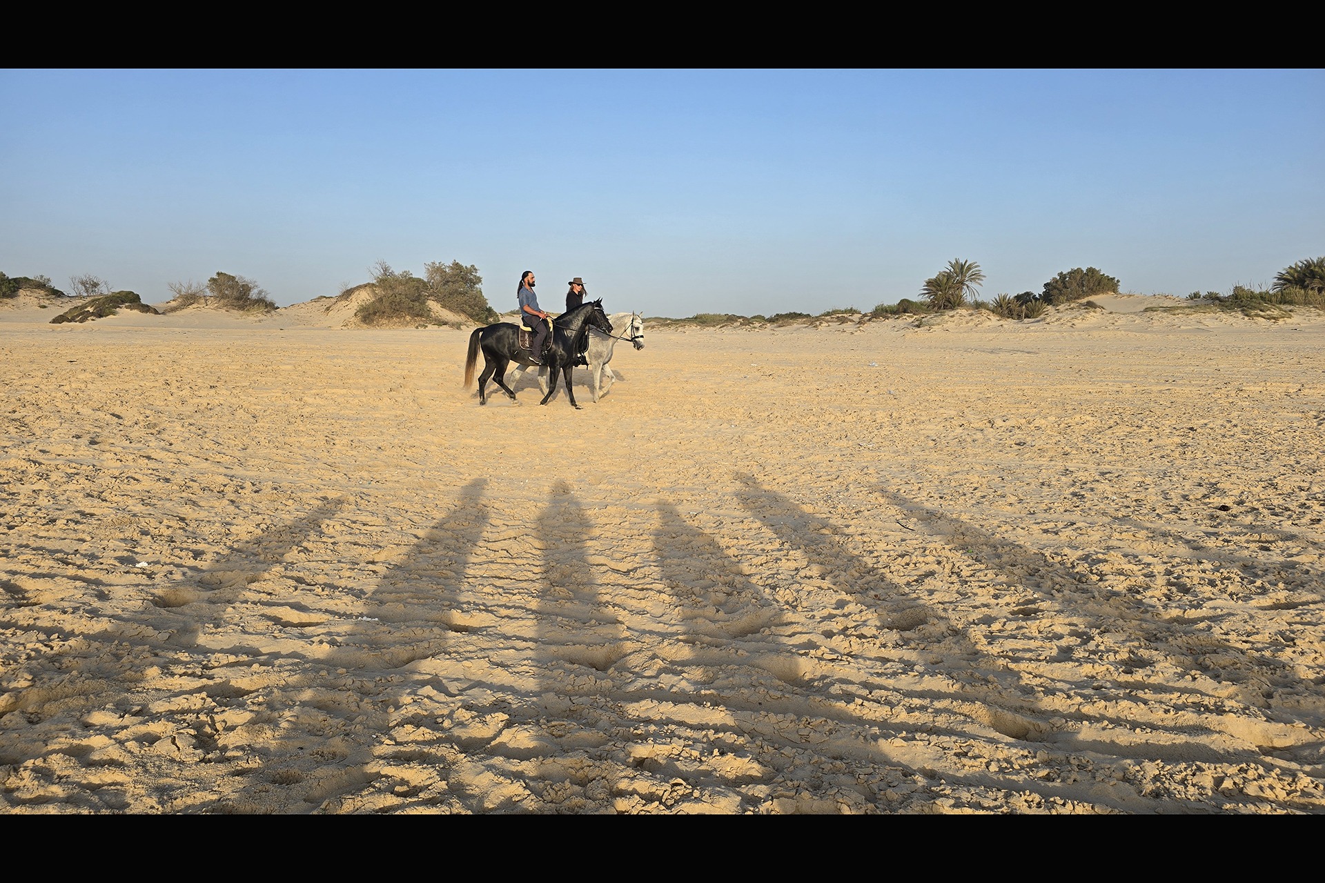 מפגש מס' 12 –  נווה שלום 26.05.26
