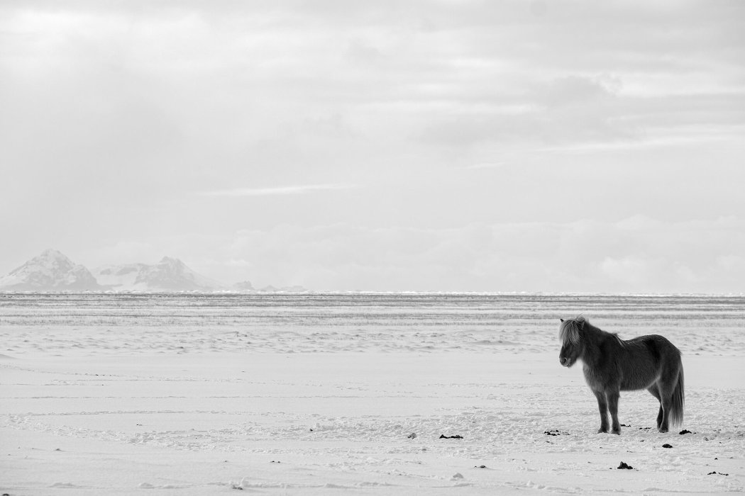 איסלנד חורף (2)
