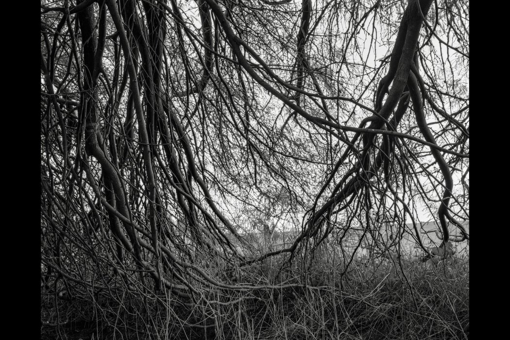 גסטון הרצאה (1)