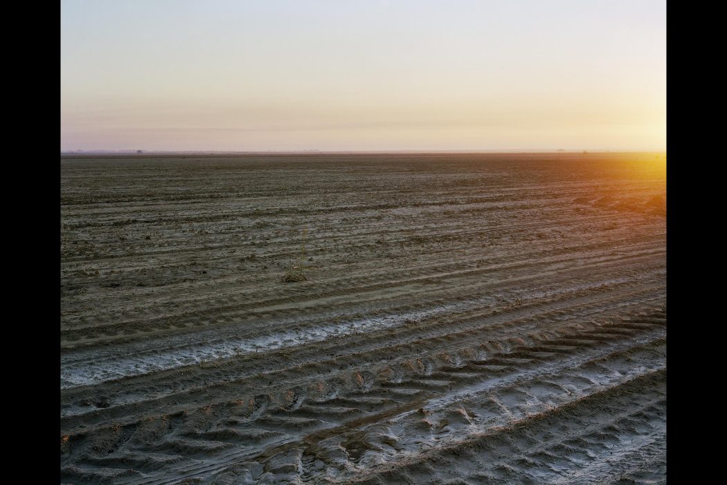 גסטון הרצאה (2)