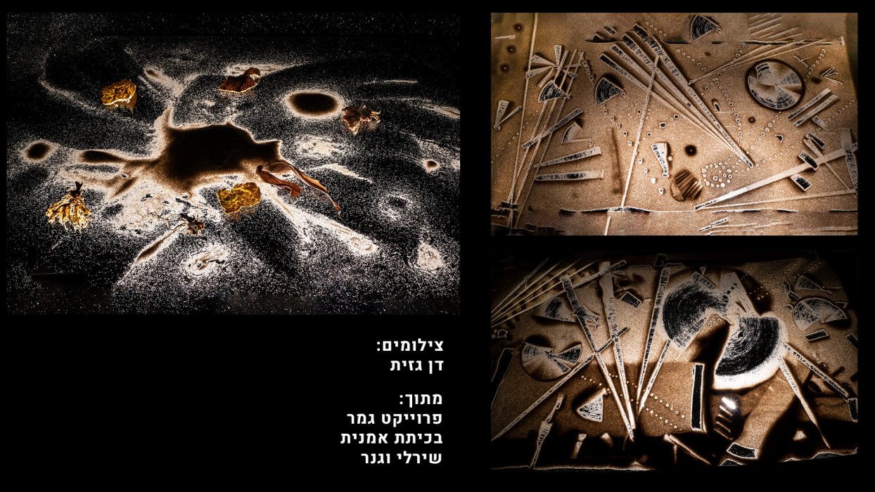 דן גזית - שירלי וגנר