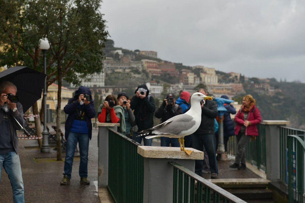 דרם איטליה (49)