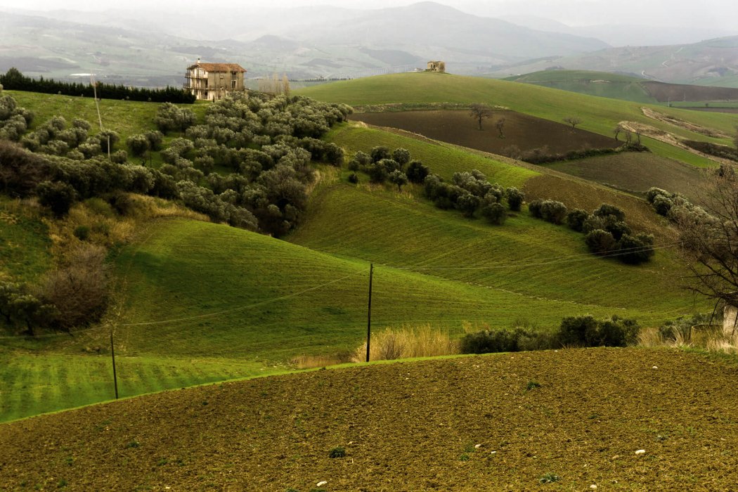 דרם איטליה (50)