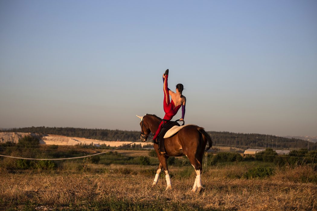 וולטינג (11)