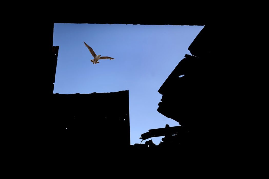 זרמים בצילום יצירתי (12)