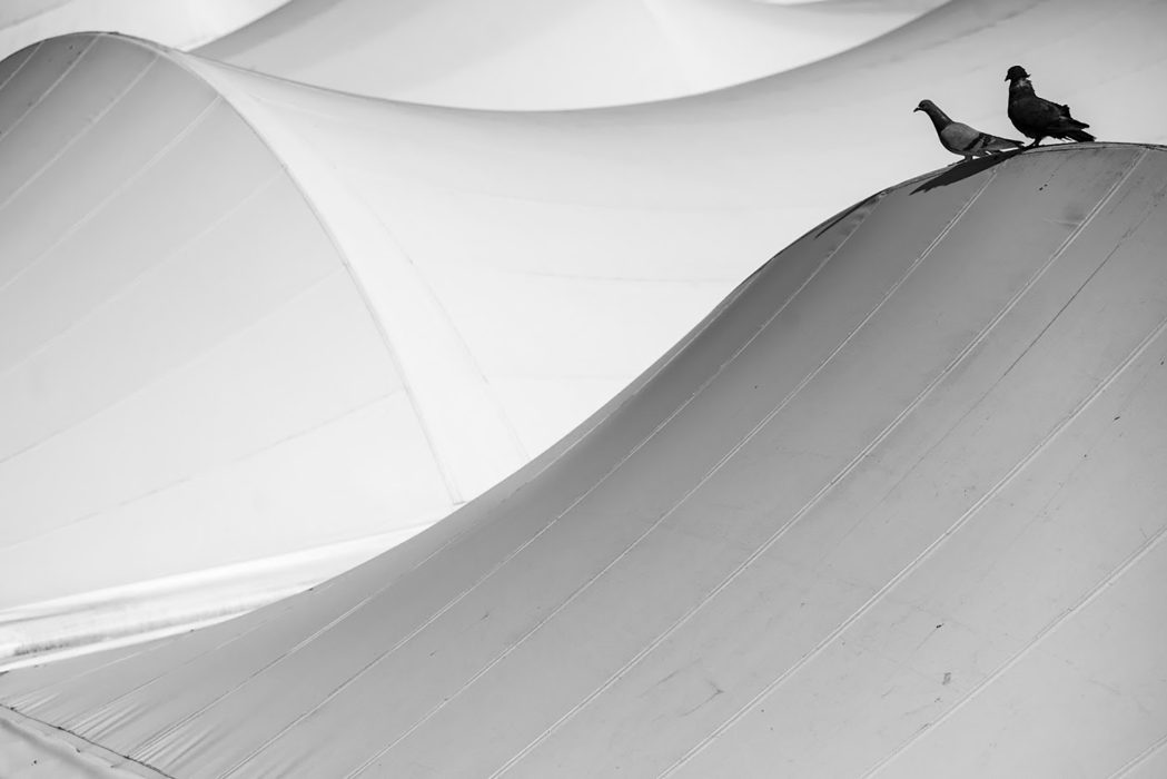 זרמים בצילום יצירתי (2)