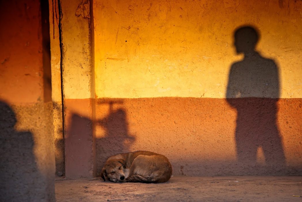 זרמים בצילום יצירתי (8)