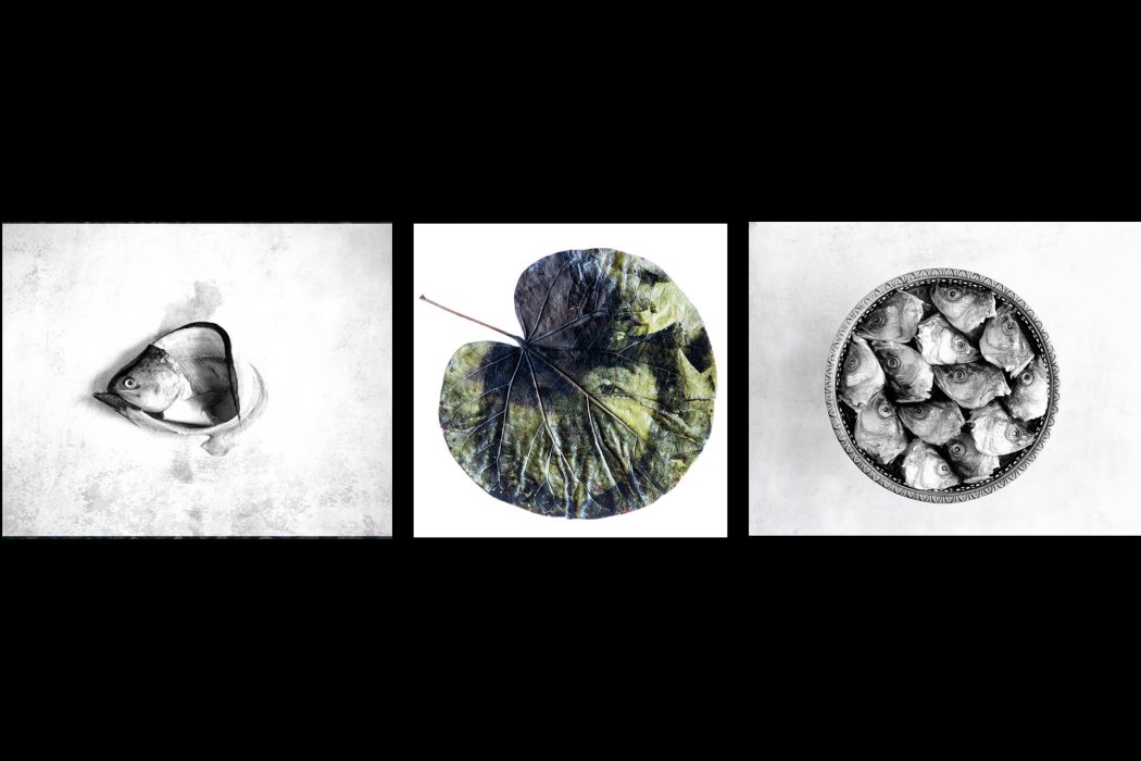 חומריות אתי נמיר (2)