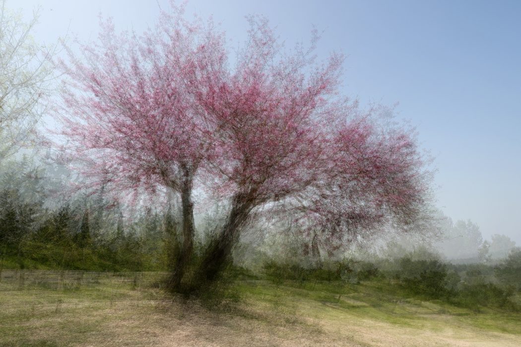 טבע בגישה אישית (1)