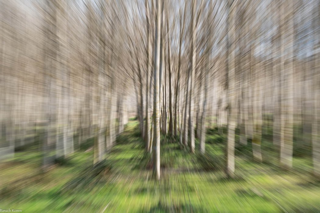 טבע בגישה אישית (10)