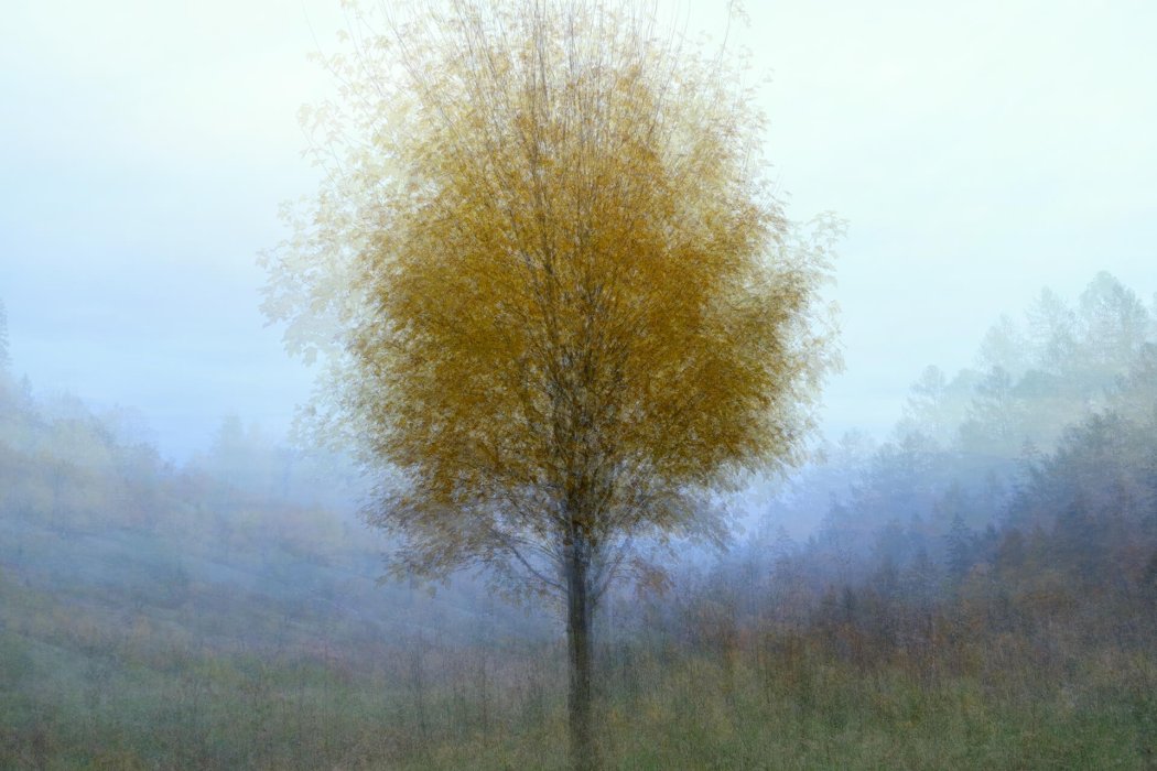 טבע בגישה אישית (2)