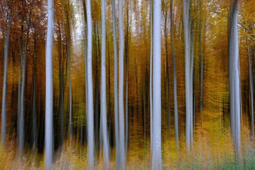 טבע בגישה אישית (7)