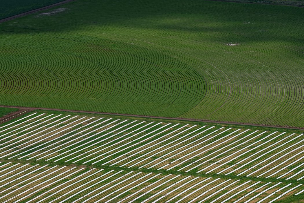טבע בגישה אישית(16)