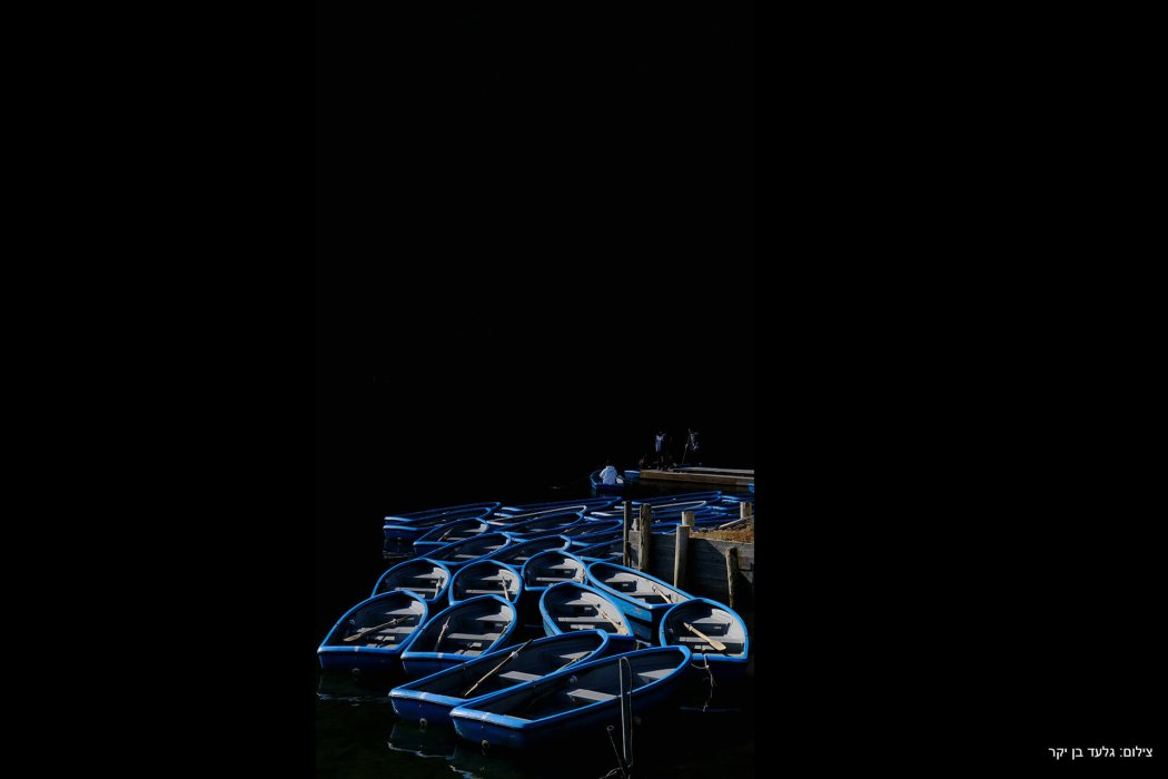 יפן שלכת (10)