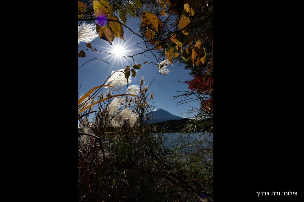 יפן שלכת (33)