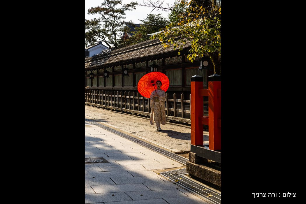 יפן שלכת (38)
