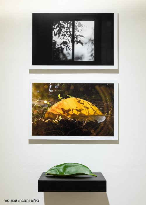 לראות להראות ולהראות 4