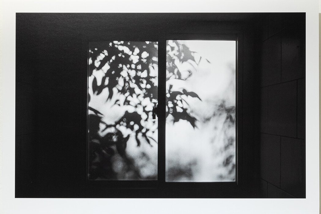 לראות להראות ולהראות1