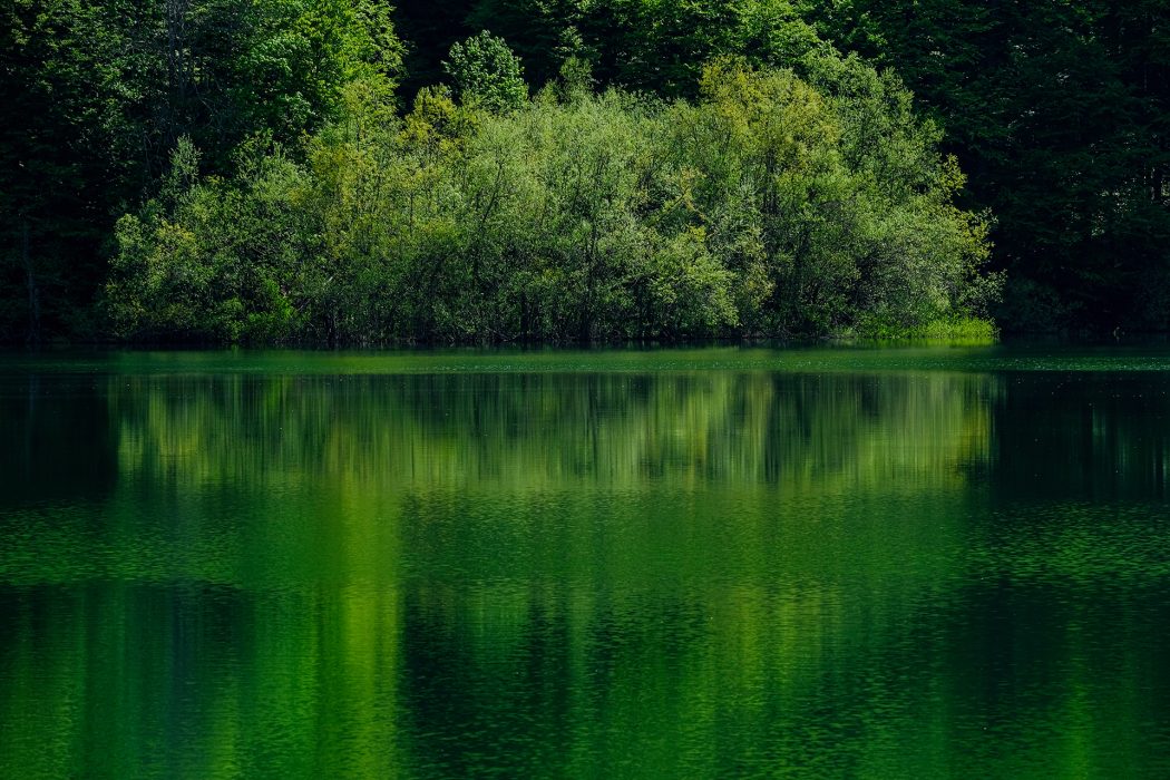 מונטנגרו (11)