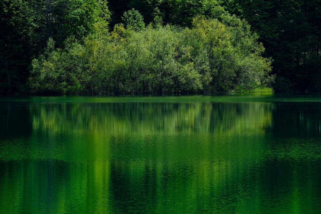 מונטנגרו (11)