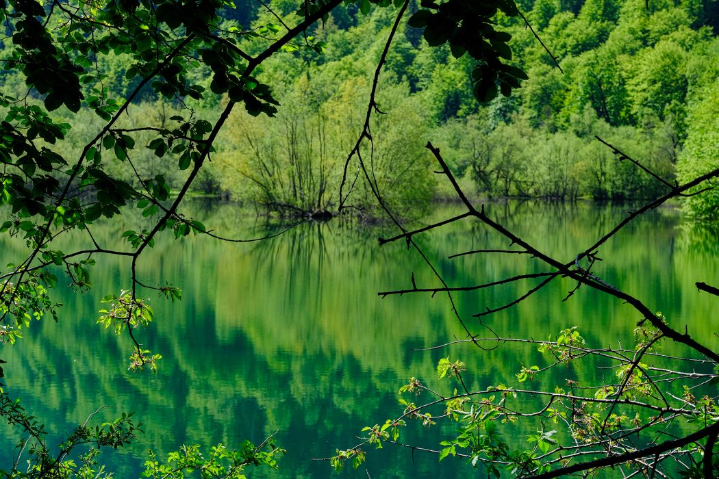 מונטנגרו (12)