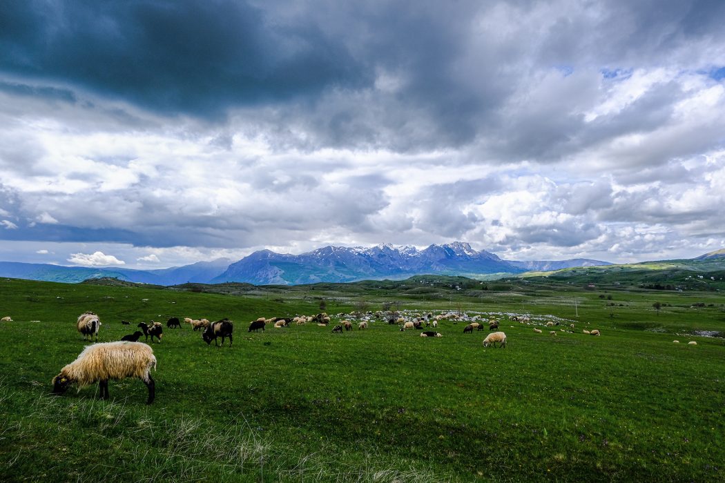 מונטנגרו (17)