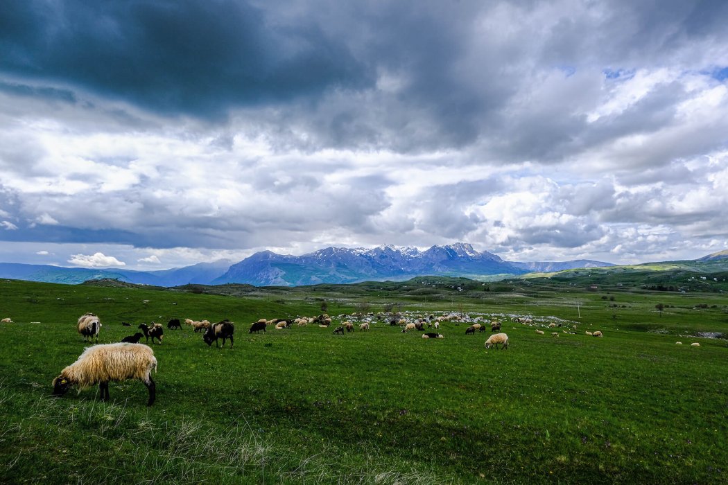מונטנגרו (17)