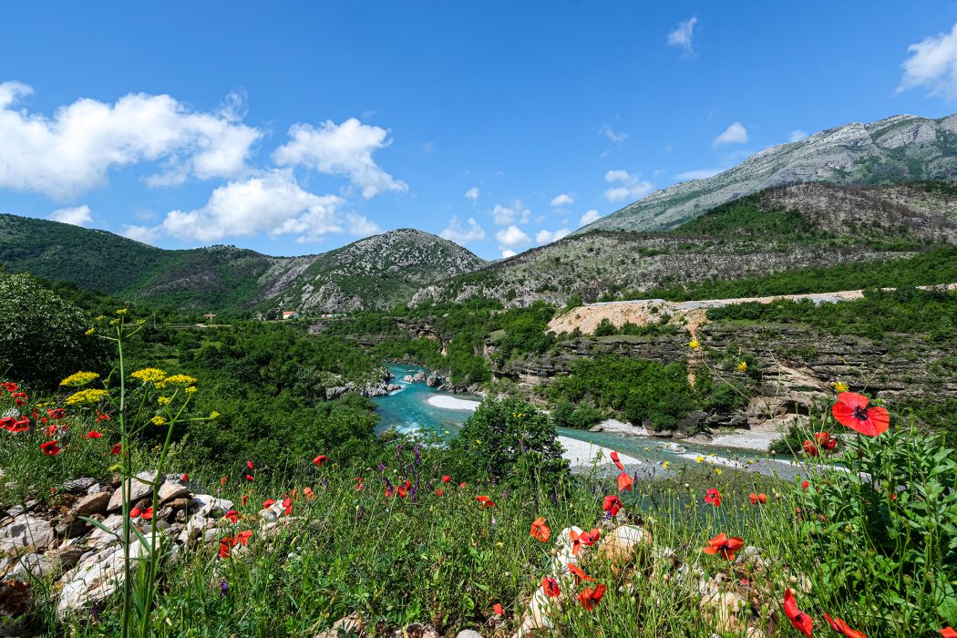 מונטנגרו (18)