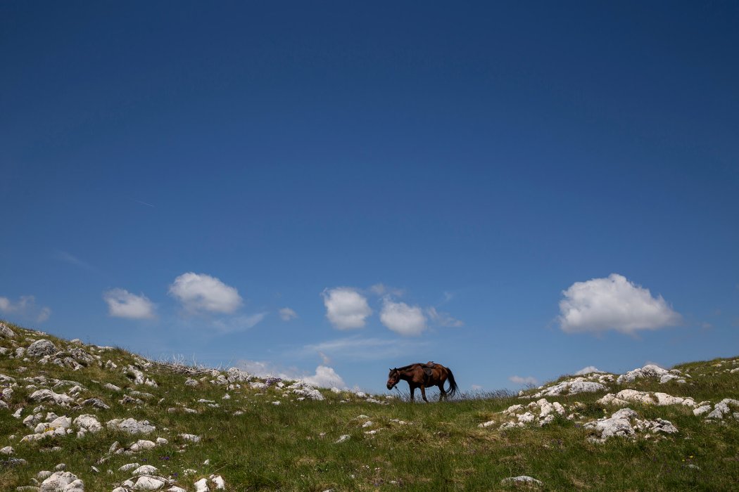 מונטנגרו (25)