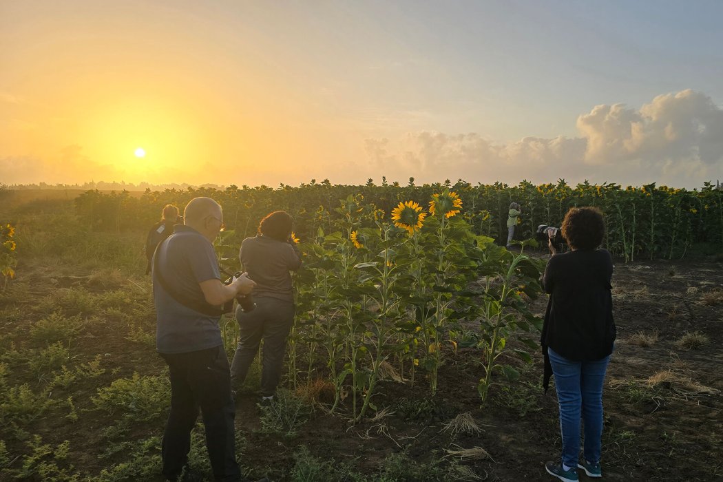 מועדון 2025 (1)