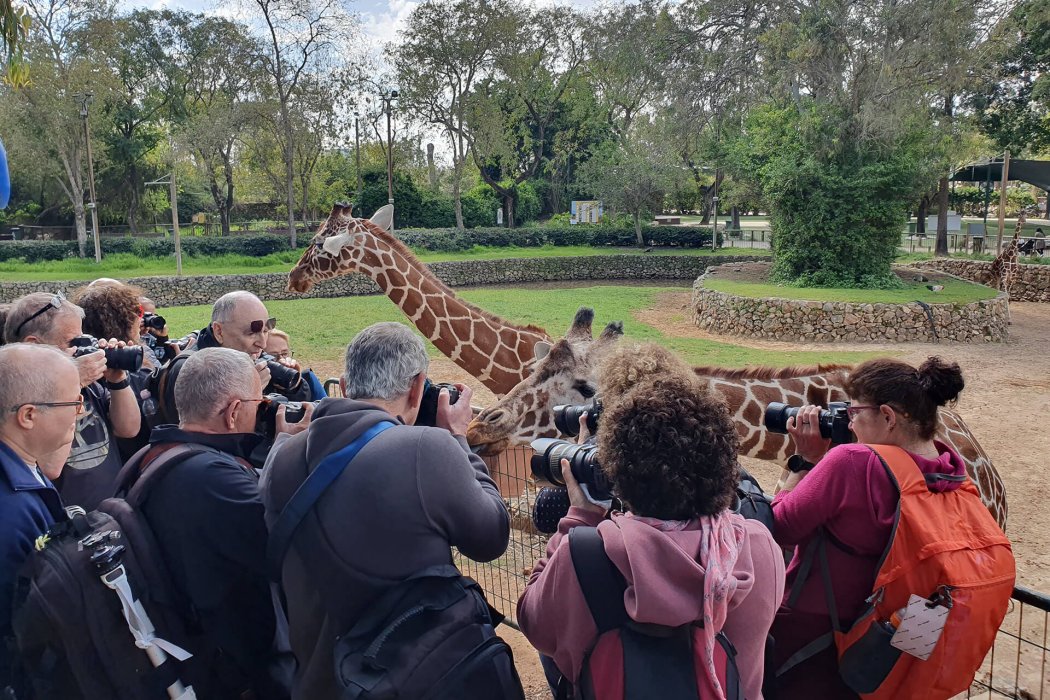 מועדון 2025 (11)