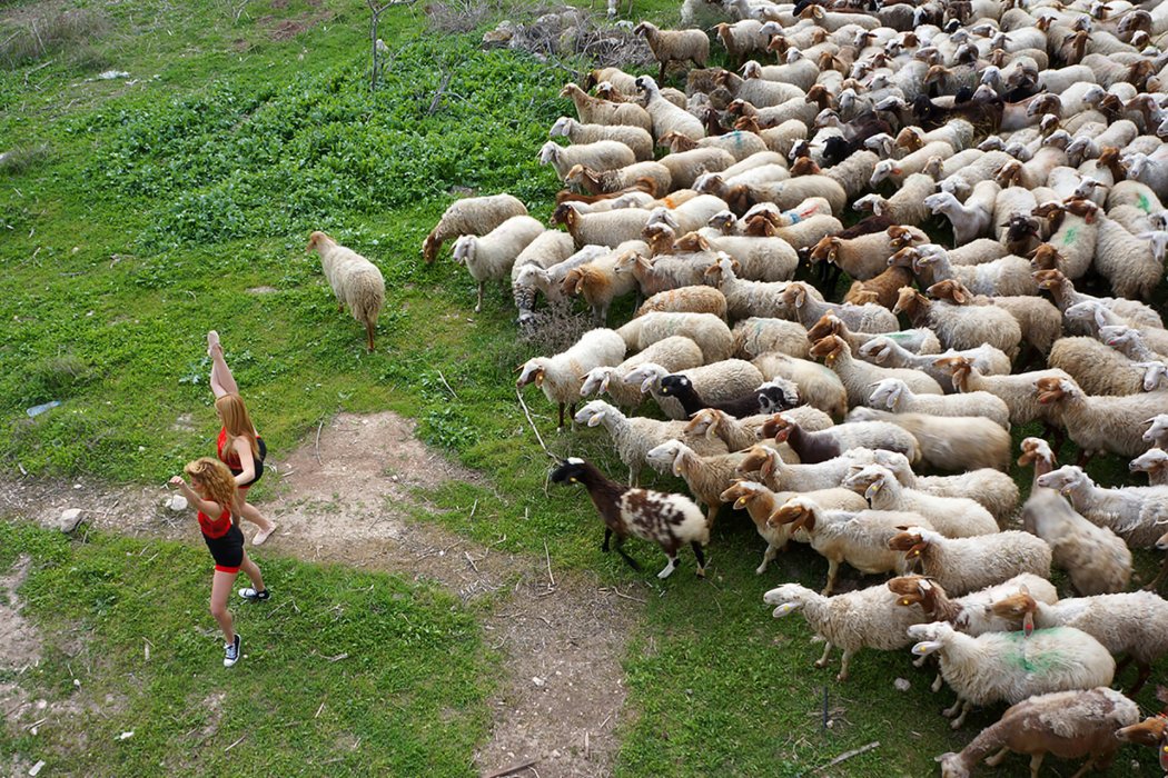 מחול חוץ (10)