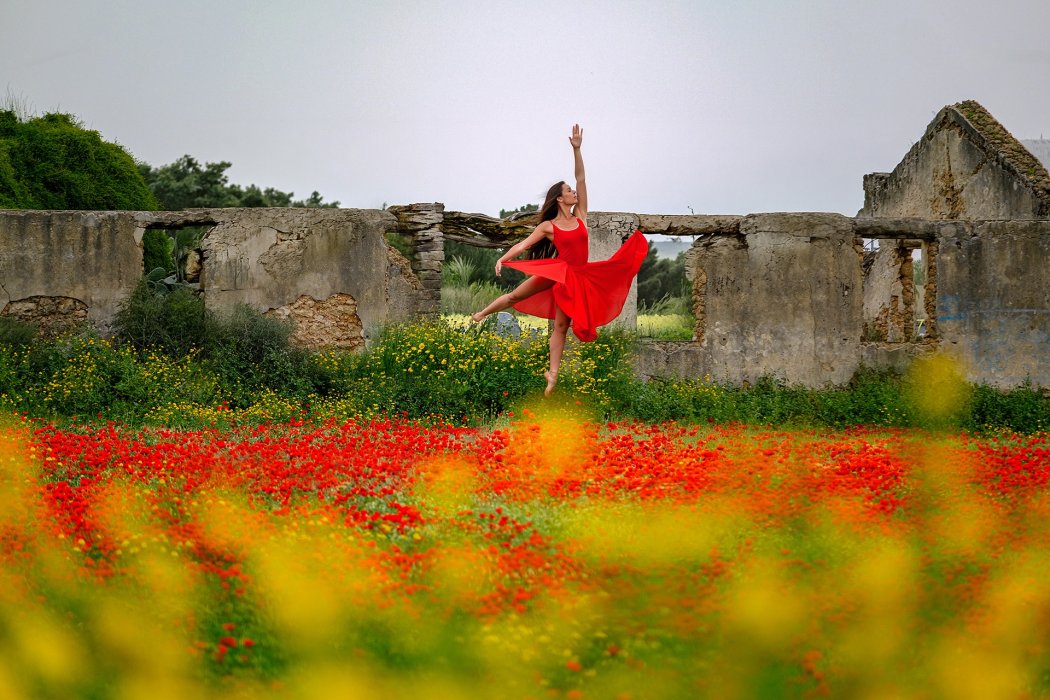 מחול חוץ פרגים (2)