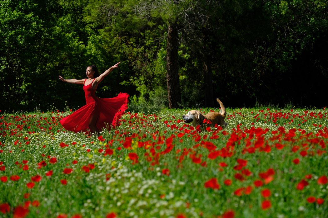 מחול חוץ פרגים (3)