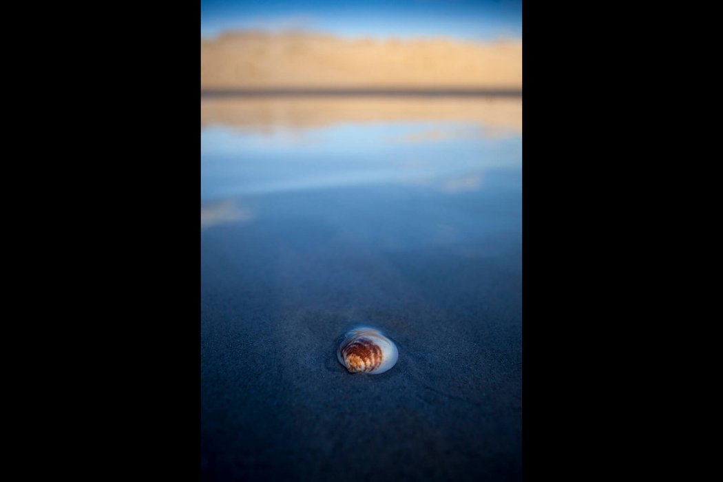 מינימליזם (3)