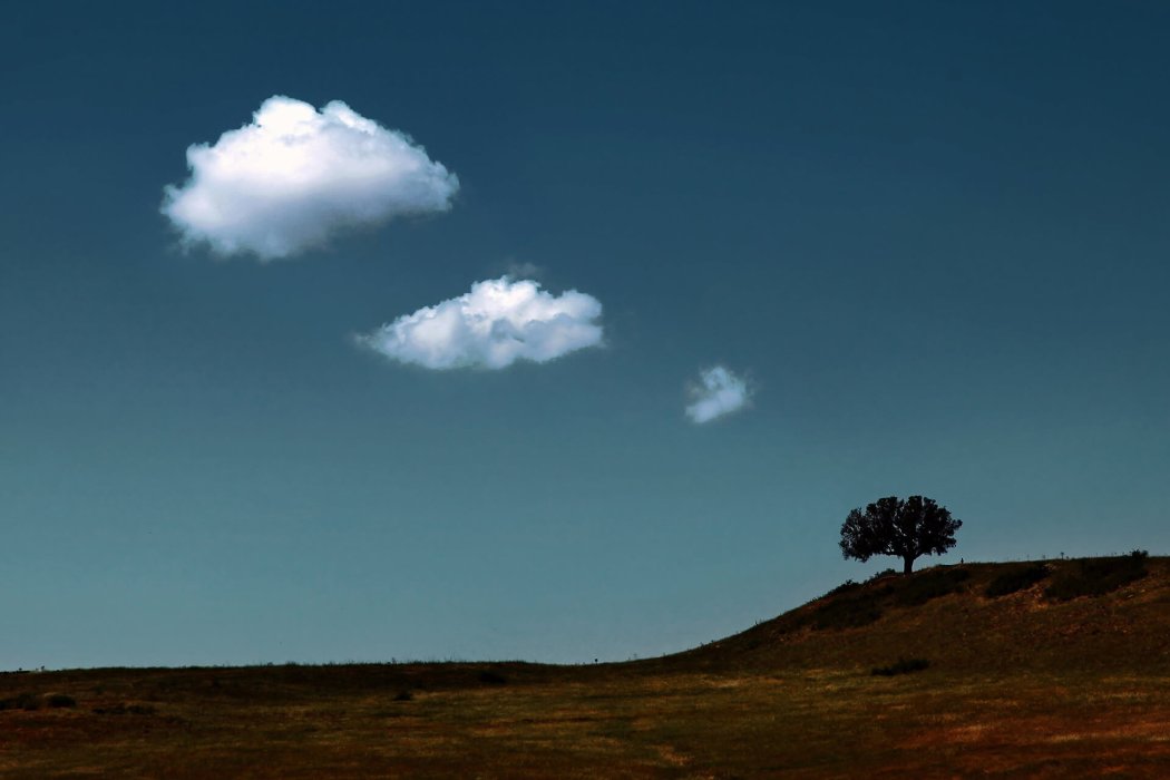 מינימליזם (4)