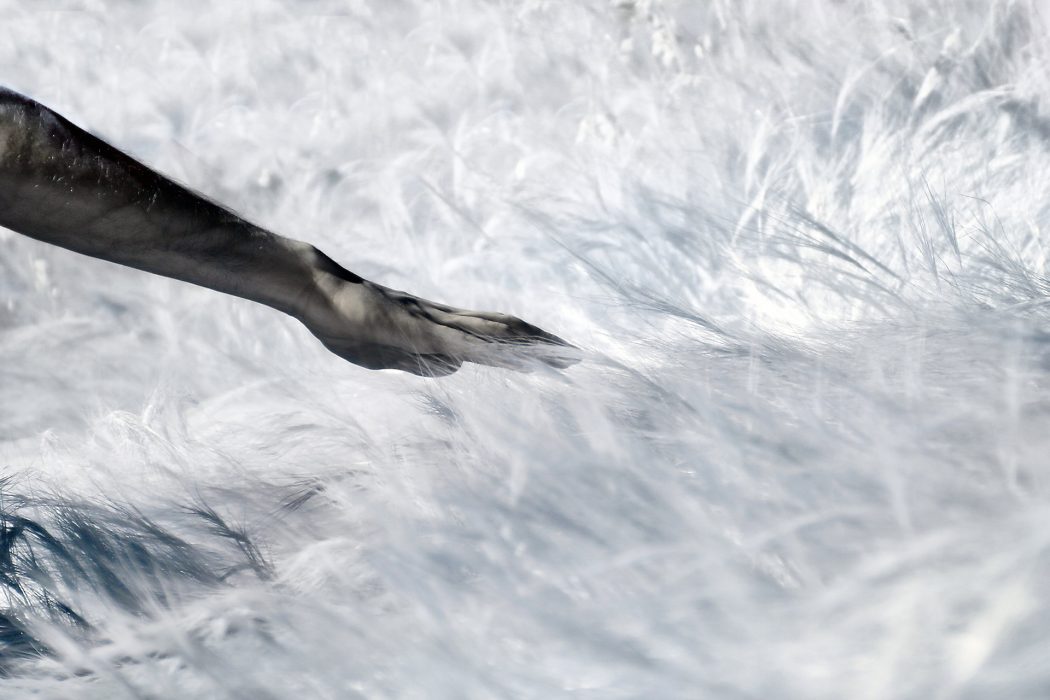 מינימליזם (5)