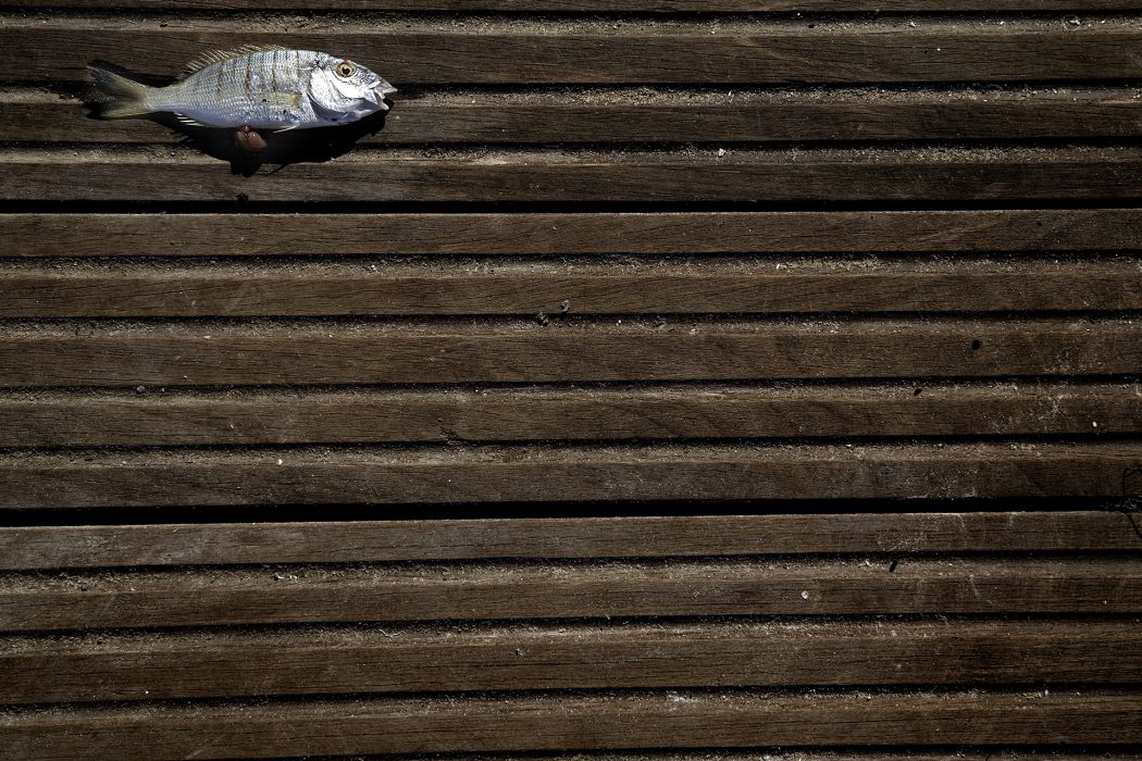 מינימליזם (7)