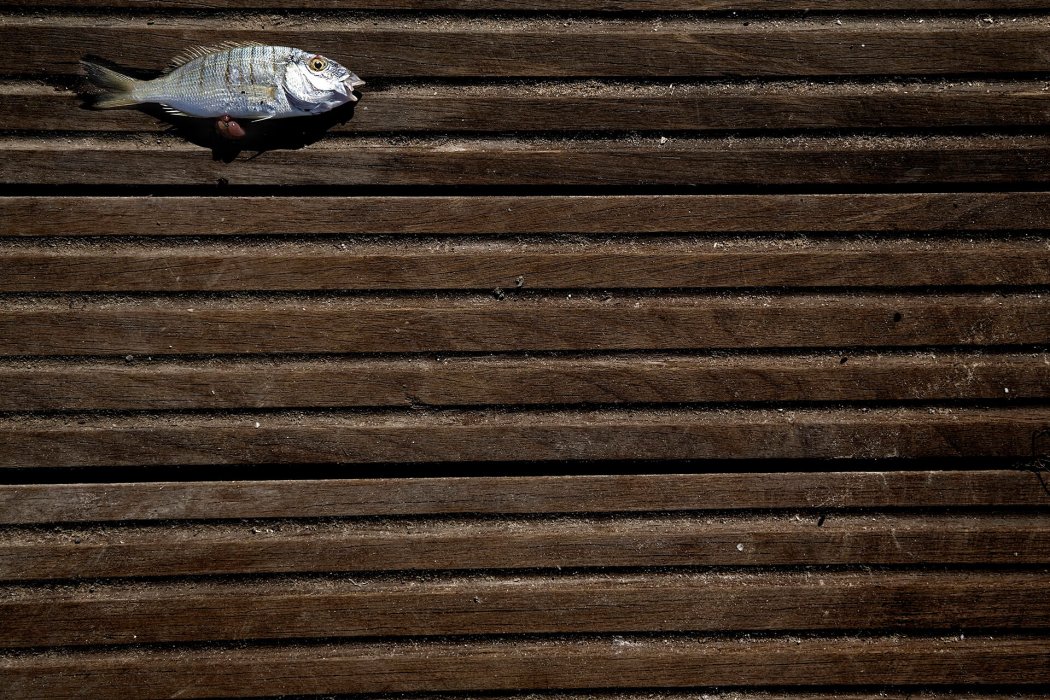 מינימליזם (7)