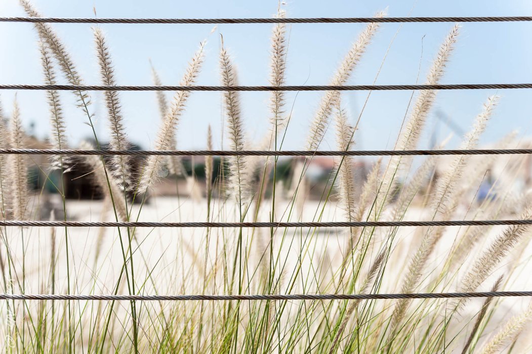 All rights reserved to Yoav Nir (c)