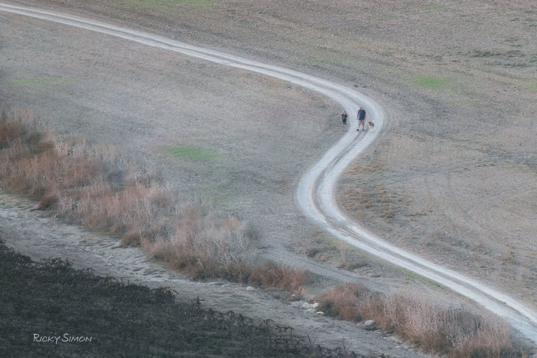 נוף בעדשת טלה (7)